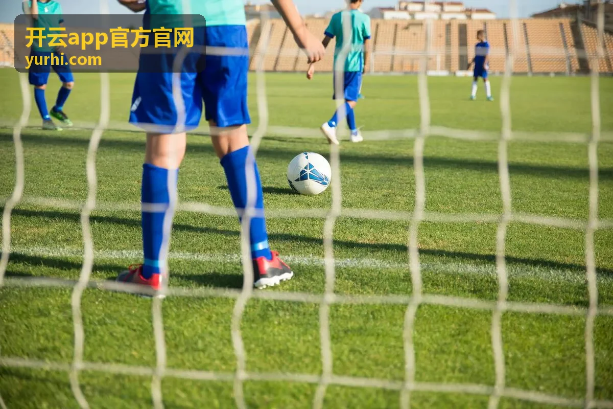 开云app官方官网安装与登录问题排查示意