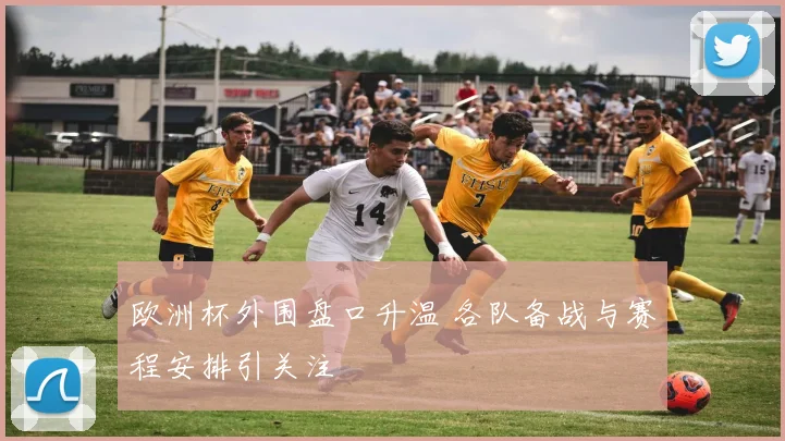 欧洲杯外围盘口升温 各队备战与赛程安排引关注