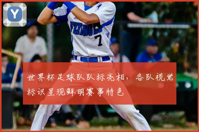 世界杯足球队队标亮相,各队视觉标识呈现鲜明赛事特色